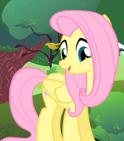 fluttershy